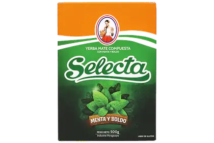 Selecta Menta Boldo - photo 1