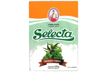 Selecta Eucalyptus - photo 1