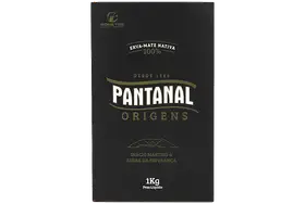 Pantanal Origens